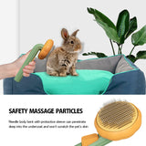 Pet Pumpkin Brush, Pet Grooming Self Cleaning Slicker Brush For Dogs Cats Puppy Rabbit